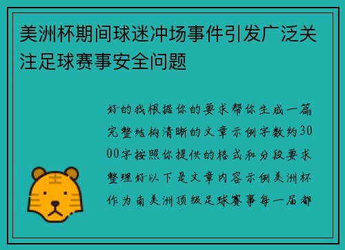 美洲杯期间球迷冲场事件引发广泛关注足球赛事安全问题